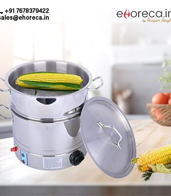 PRADEEP ELECTRIC STEAMER