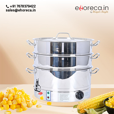 PRADEEP ELECTRIC STEAMER