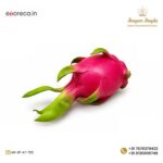 PU DRAGON FRUIT