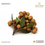 ARIFIFICAL LONGAN