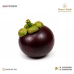 ARTIFIFICAL MANGOSTEEN